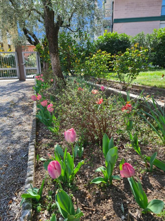 Le Peonie Apartment Рива дел Гарда Екстериор снимка